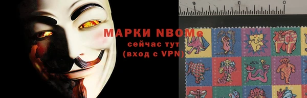 трава Аркадак