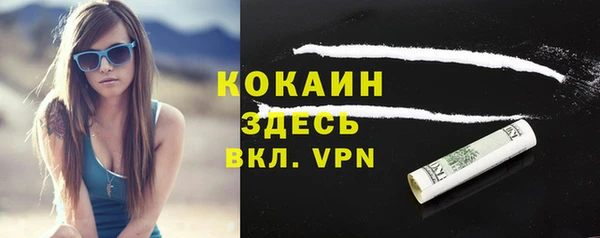 винт Арсеньев