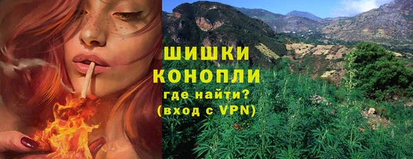 трава Аркадак