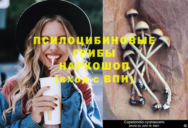 круглые Армянск