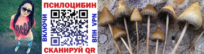 Галлюциногенные грибы GOLDEN TEACHER  Рузаевка 
